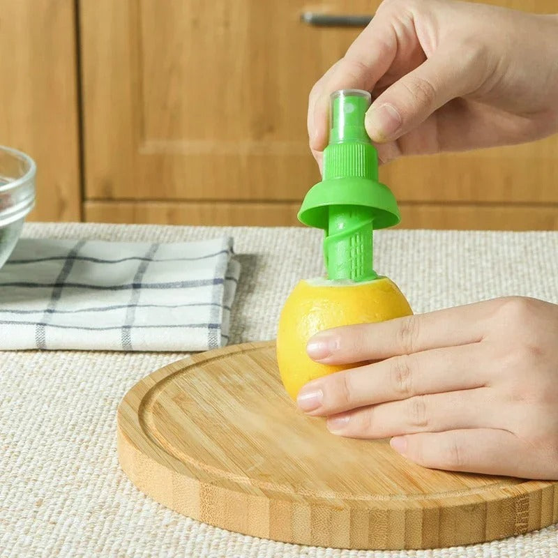 presse-citron-manuel-utilisation