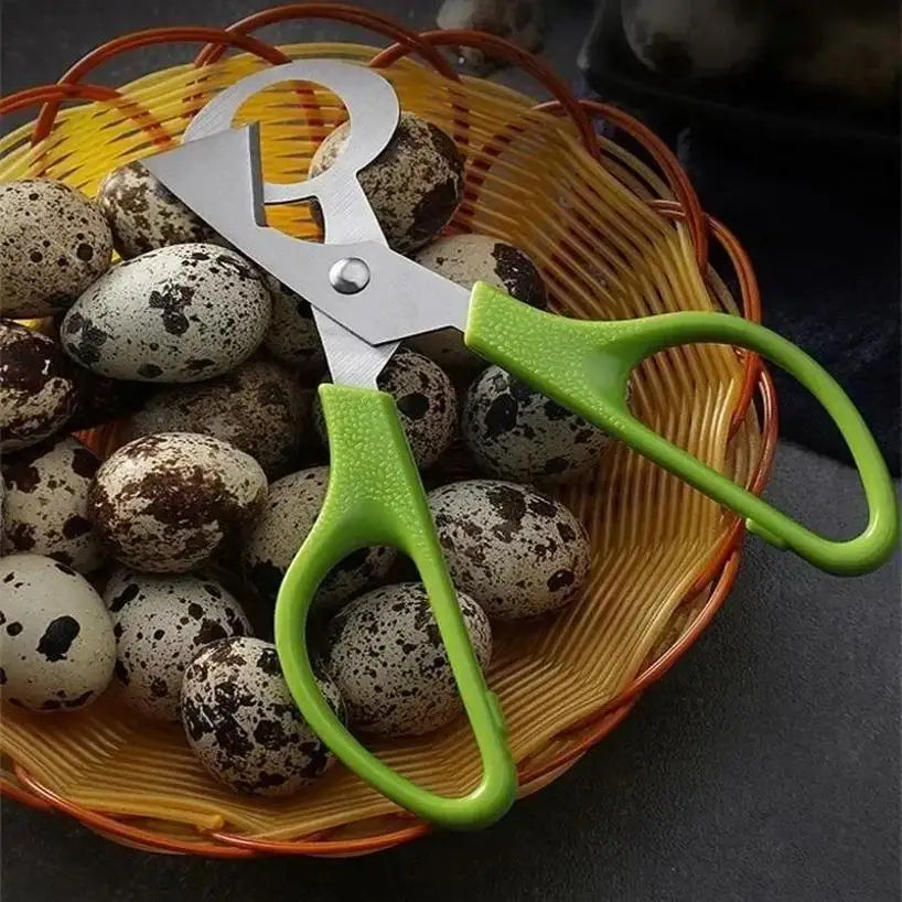 coupe oeuf de caille ciseaux