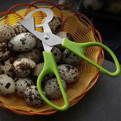 coupe oeuf de caille ciseaux