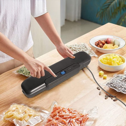 machine a mettre sous vide zipvac efficace