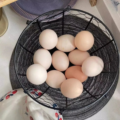 panier a oeuf poule capacite