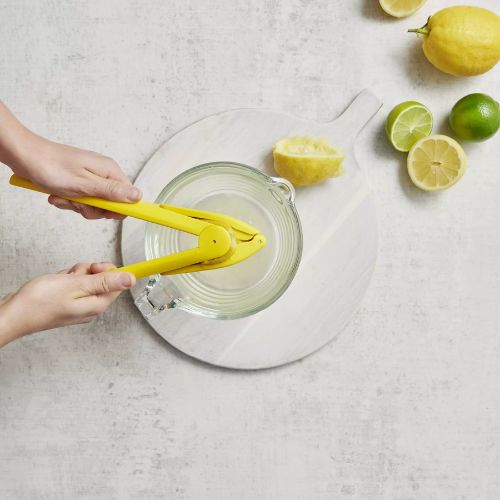 presse-agrume-manuel-zestease-sans-effort