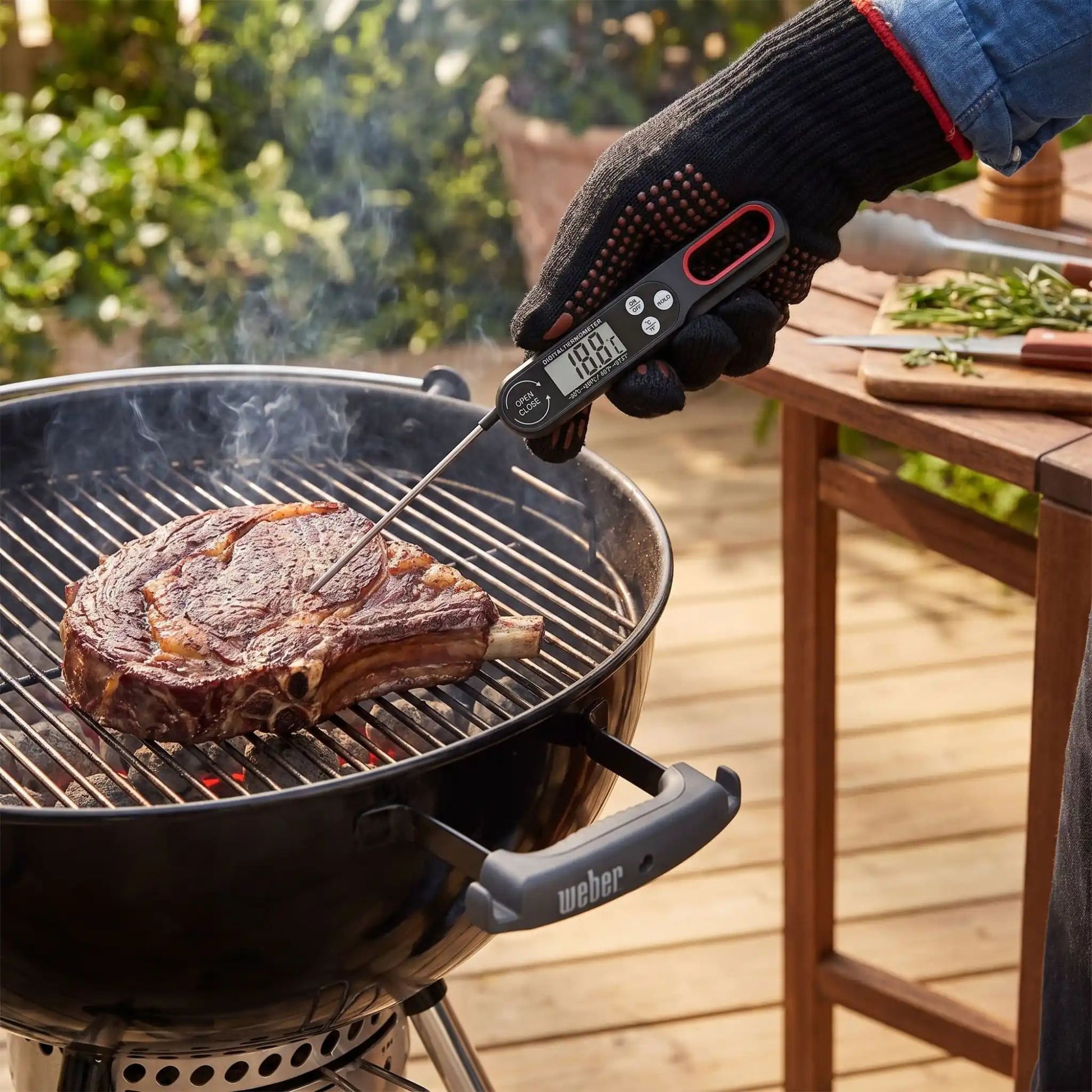 thermometre de cuisson thermacook barbecue