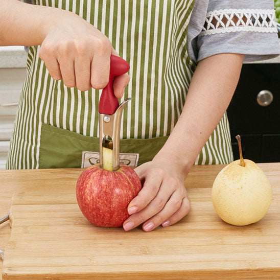 vide-pomme-applepur-inox
