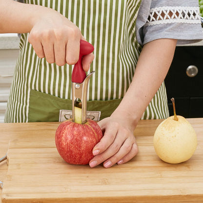 vide-pomme-applepur-inox